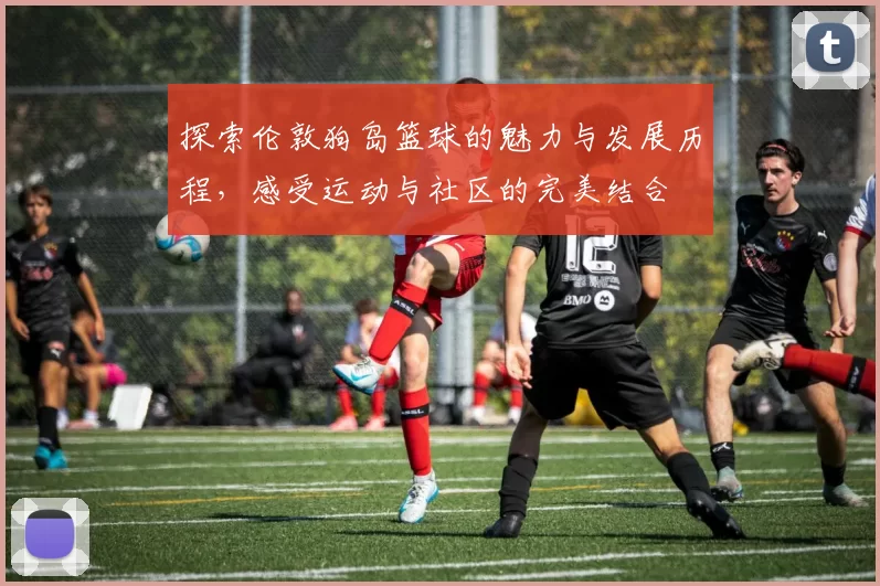 探索伦敦狗岛篮球的魅力与发展历程，感受运动与社区的完美结合