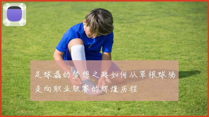 足球磊的梦想之路如何从草根球场走向职业联赛的辉煌历程