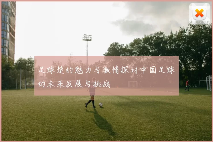 足球楚的魅力与激情探讨中国足球的未来发展与挑战